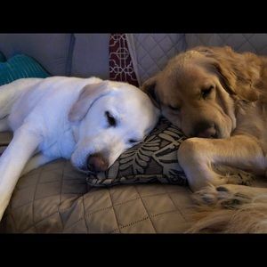 Meet your Posher, Mona